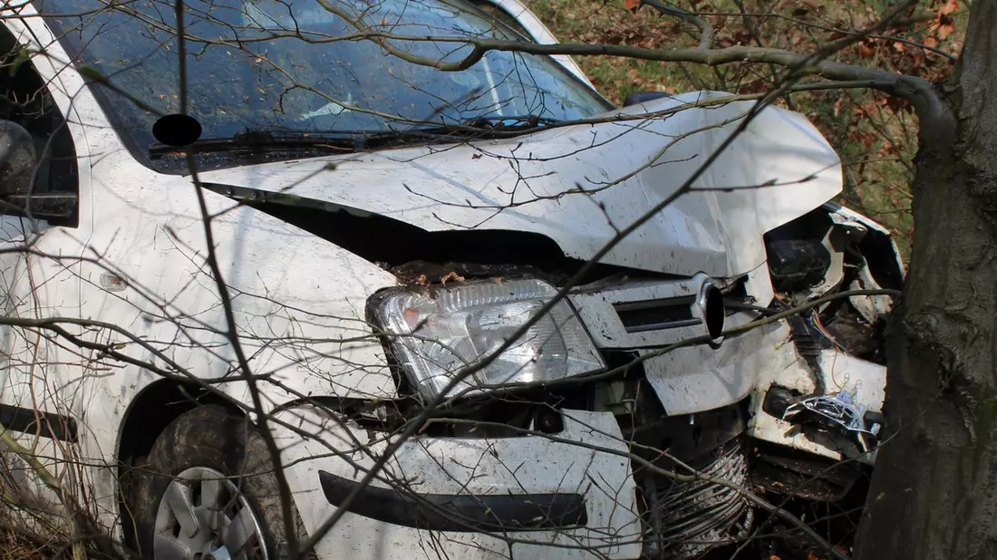 POL-MI: Fiat kracht gegen Baum - Bild: presseportal.de