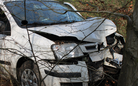 POL-MI: Fiat kracht gegen Baum - Foto: presseportal.de