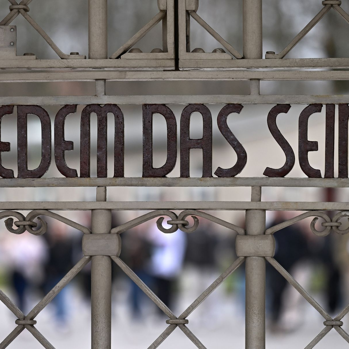 In geschichtsrevisionistischen Kreisen wurde die Echtheit der überlieferten menschlichen Überreste immer wieder in Frage gestellt. - Foto: Martin Schutt/dpa