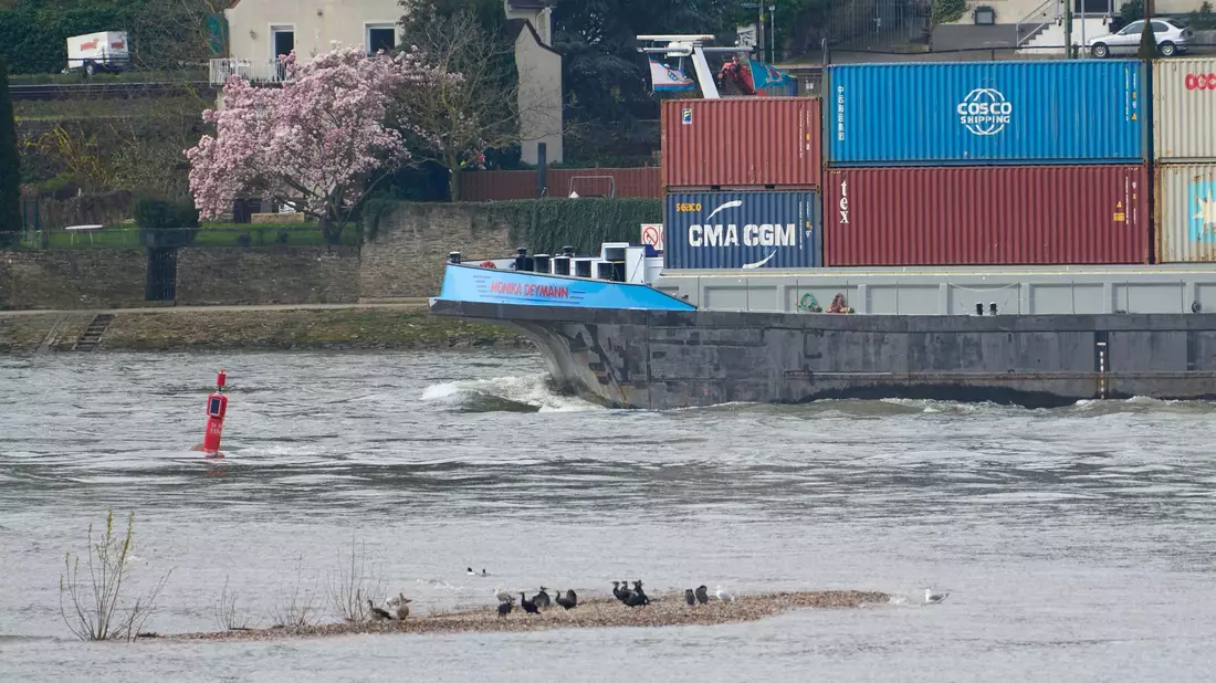 Der «Jungfrauengrund» bei Oberwesel: Auch bei Normalwasserstand ragen Steine aus dem Rhein hervor. Der Abschnitt dient der Planung einer durchgehend tieferen Fahrrinne. - Bild: Thomas Frey/dpa