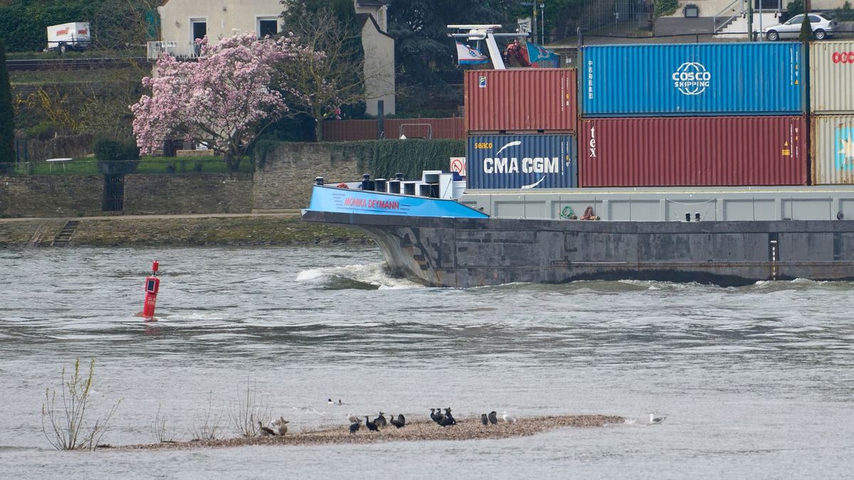 Der «Jungfrauengrund» bei Oberwesel: Auch bei Normalwasserstand ragen Steine aus dem Rhein hervor. Der Abschnitt dient der Planung einer durchgehend tieferen Fahrrinne. - Foto: Thomas Frey/dpa