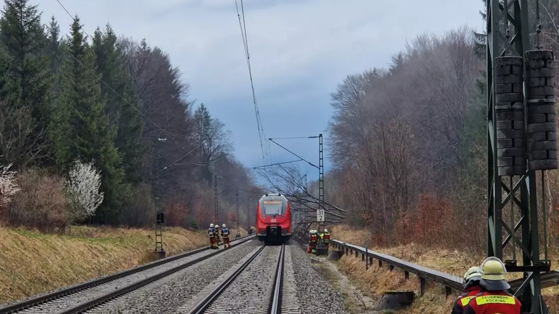 Bundespolizeidirektion München: Zug kollidiert mit Baum / Oberleitung setzt Unfallzug unter Strom - Bild: presseportal.de
