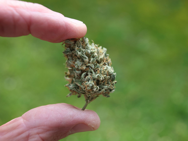 Jeder zweite Bundesbürger stört sich an dem typischen Geruch von Cannabis-Rauch. - Foto: Karl-Josef Hildenbrand/dpa