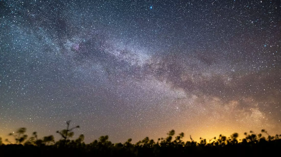 Der Sternenhimmel leuchtet über einem Rapsfeld. Laut Nasa könnte sich in den kommenden Monaten ein Himmelsspektakel ereignen - eine sogenannte Nova-Explosion. - Bild: Daniel Reinhardt/dpa