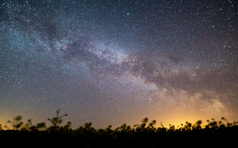 Der Sternenhimmel leuchtet über einem Rapsfeld. Laut Nasa könnte sich in den kommenden Monaten ein Himmelsspektakel ereignen - eine sogenannte Nova-Explosion. - Foto: Daniel Reinhardt/dpa
