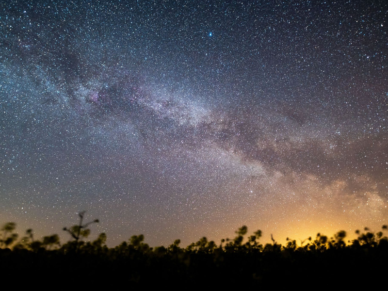 Der Sternenhimmel leuchtet über einem Rapsfeld. Laut Nasa könnte sich in den kommenden Monaten ein Himmelsspektakel ereignen - eine sogenannte Nova-Explosion. - Foto: Daniel Reinhardt/dpa