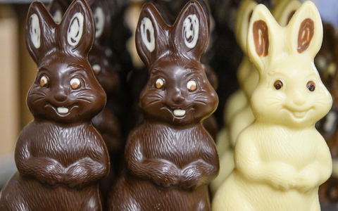 Ein Schweizer Unternehmen für die Erstellung von Ökobilanzen stellt fest: je dunkler die Schokolade, desto besser für die Umwelt. - Foto: Patrick Pleul/dpa-Zentralbild/dpa