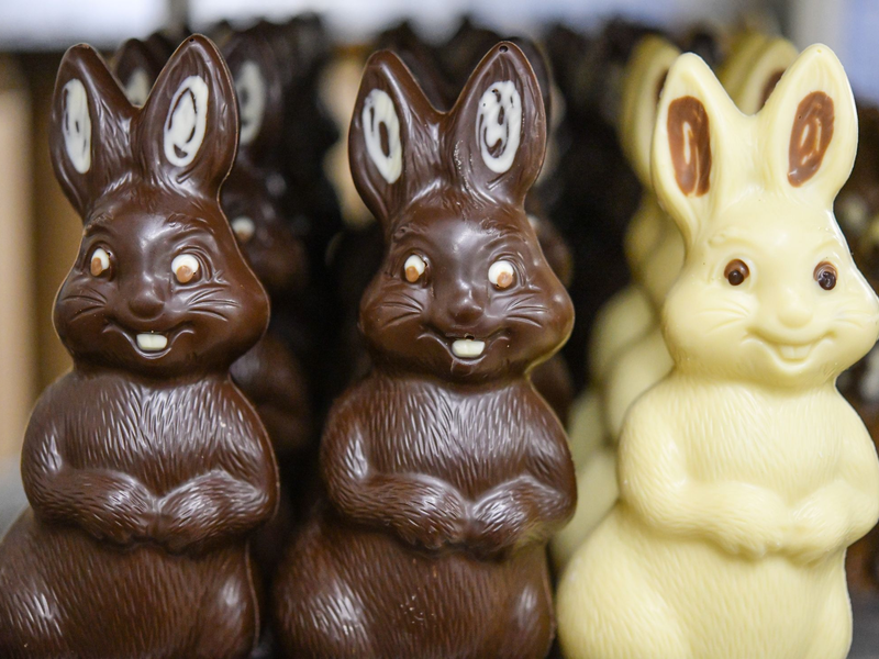 Ein Schweizer Unternehmen für die Erstellung von Ökobilanzen stellt fest: je dunkler die Schokolade, desto besser für die Umwelt. - Foto: Patrick Pleul/dpa-Zentralbild/dpa
