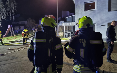 FW Wenden: Brandrauch nimmt 18 Reptilien das Leben - Foto: presseportal.de