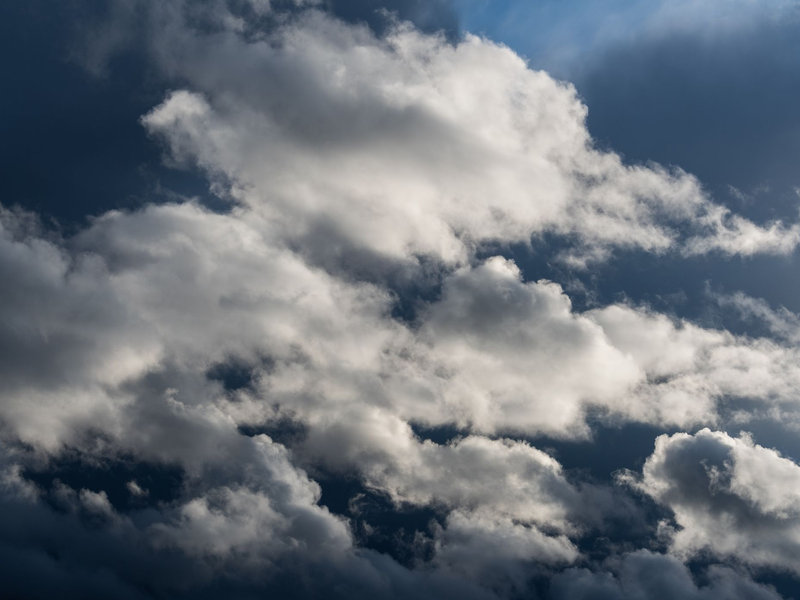 Der April macht, was er will - und das schon im März. Doch das Wetter soll stabiler werden. - Foto: Robert Michael/dpa-Zentralbild/dpa