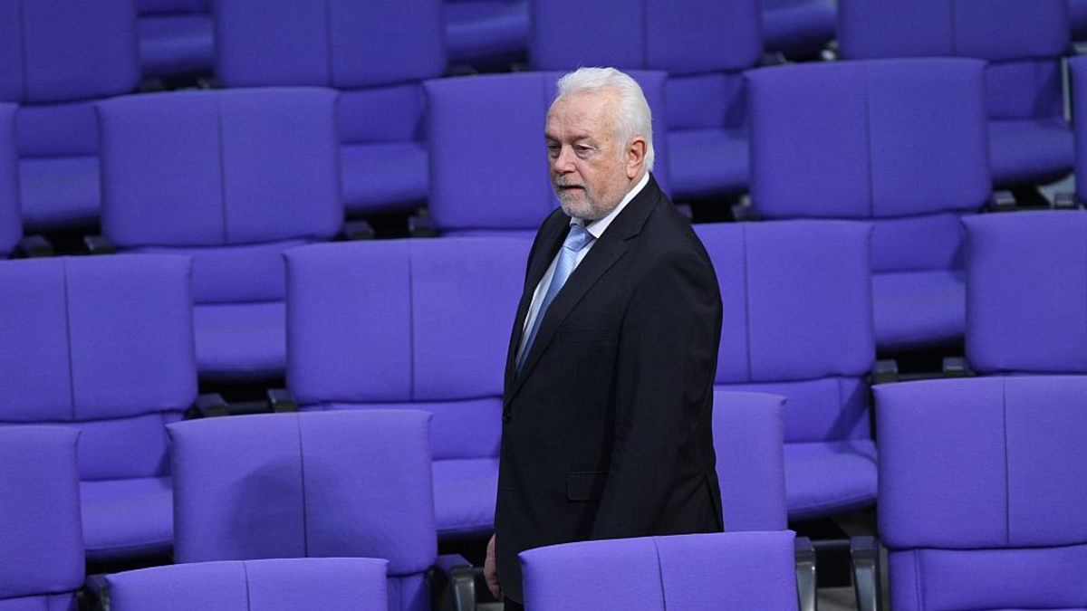 Wolfgang Kubicki (Archiv) - Foto: über dts Nachrichtenagentur