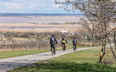 Losradeln im Nordburgenland - Foto: Tourismusverband Nordburgenland/Eric Halwax über pressetext.de