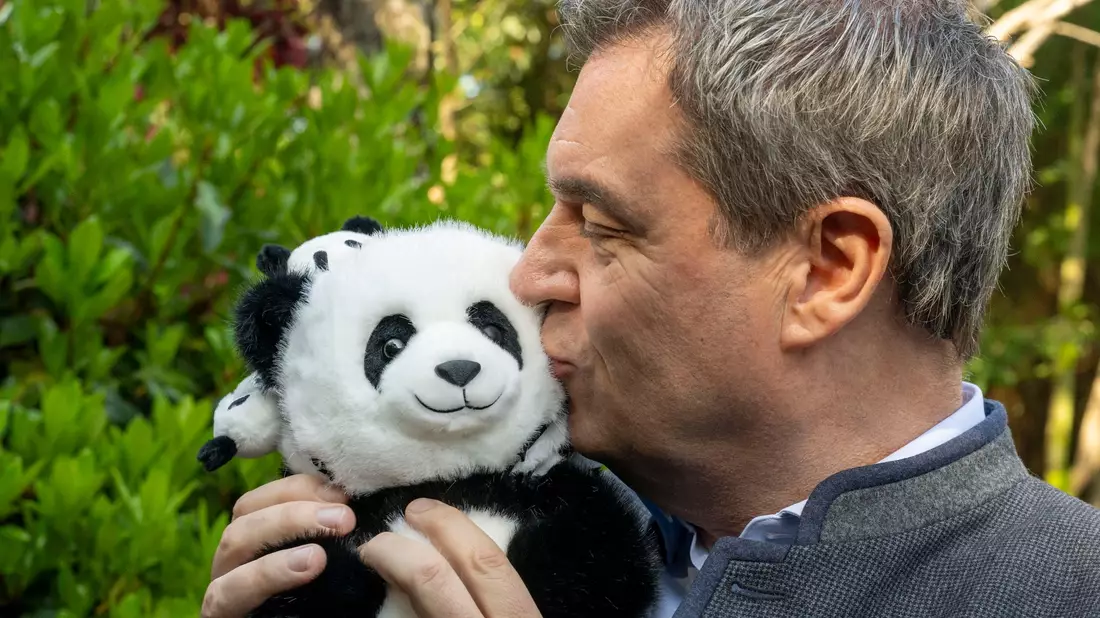 Markus Söder herzt einen Plüsch-Panda. - Bild: Peter Kneffel/dpa