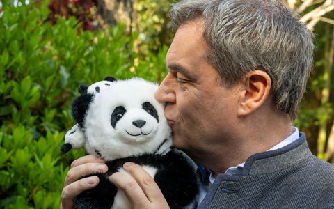 Markus Söder herzt einen Plüsch-Panda. - Foto: Peter Kneffel/dpa
