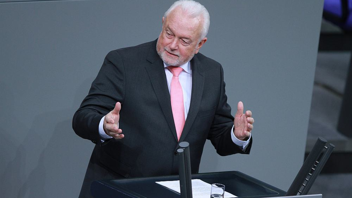 Wolfgang Kubicki (Archiv) - Foto: über dts Nachrichtenagentur