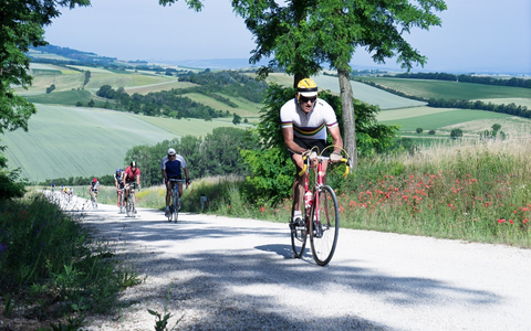 In Velo Veritas - Foto: Barbara Filips über pressetext.de