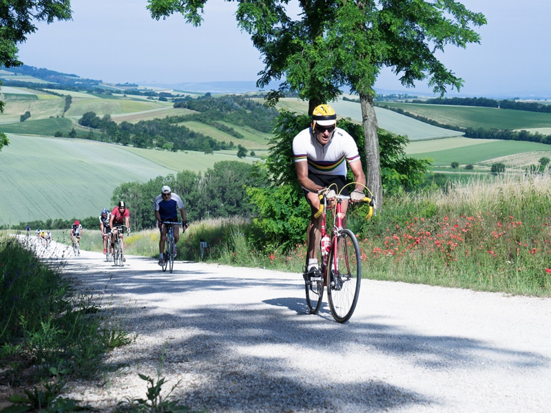 In Velo Veritas - Foto: Barbara Filips über pressetext.de