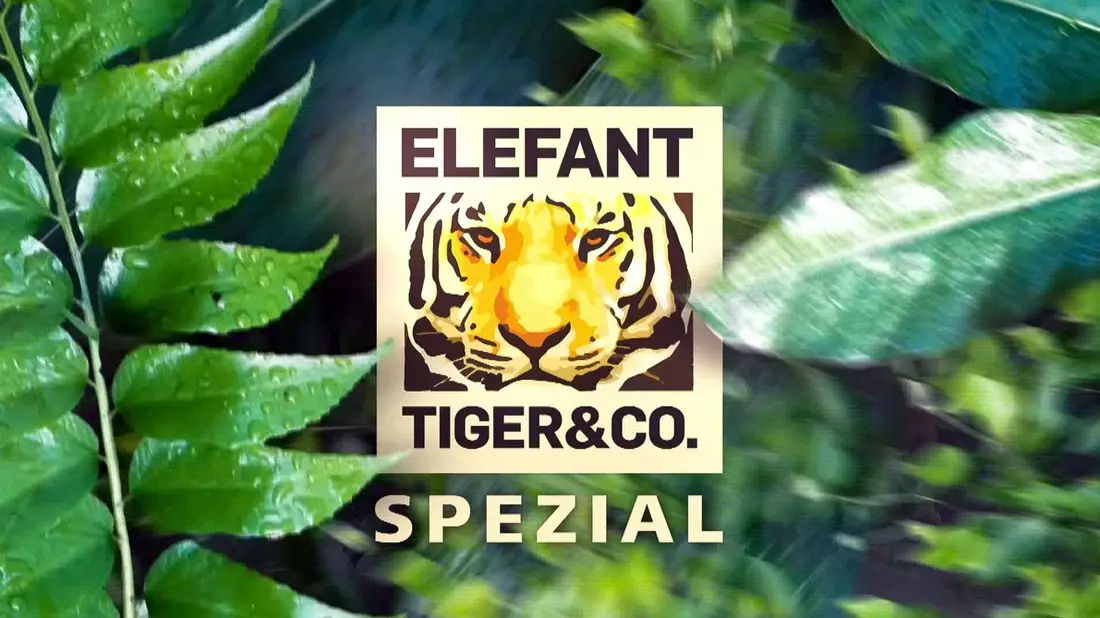 MDR zeigt Zoo Leipzig-Spezial zur Primetime: „Elefant, Tiger & Co“ im Einsatz für bedrohte Arten - Bild: presseportal.de