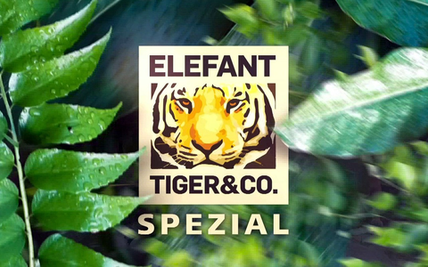MDR zeigt Zoo Leipzig-Spezial zur Primetime: âElefant, Tiger & Coâ im Einsatz fĂŒr bedrohte Arten - Foto: presseportal.de MDR zeigt Zoo Leipzig-Spezial zur Primetime: âElefant, Tiger & Coâ im Einsatz fĂŒr bedrohte Arten - Foto: presseportal.de
