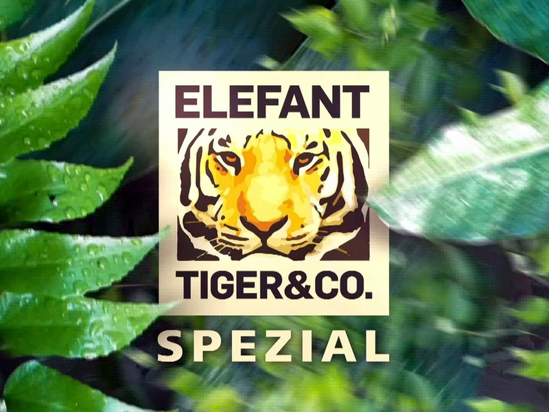 MDR zeigt Zoo Leipzig-Spezial zur Primetime: „Elefant, Tiger & Co“ im Einsatz für bedrohte Arten - Foto: presseportal.de