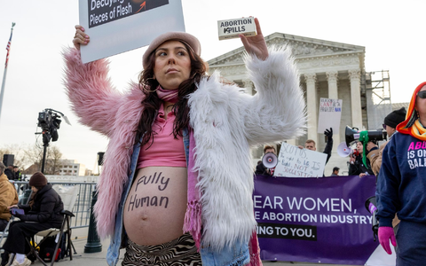 Hunderte Menschen demonstrieren vor dem Supreme Court in Washington. Dort beginnt heute eine Anhörung zur weiteren Zulassung einer Abtreibungspille. - Foto: Amanda Andrade-Rhoades/AP/dpa