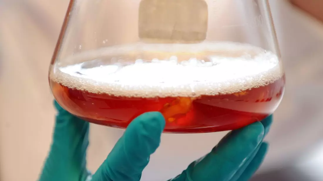 Das Bundeskabinett in Berlin berät heute über Änderungen des Wissenschaftszeitvertragsgesetzes. - Bild: picture alliance / dpa