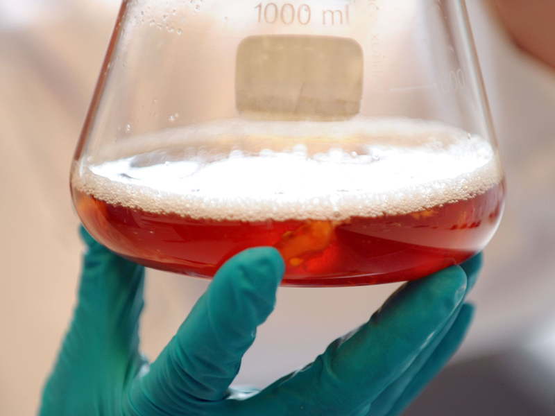 Das Bundeskabinett in Berlin berät heute über Änderungen des Wissenschaftszeitvertragsgesetzes. - Foto: picture alliance / dpa