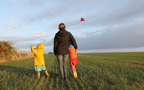 Drachensteigen (Archiv) - Foto: über dts Nachrichtenagentur