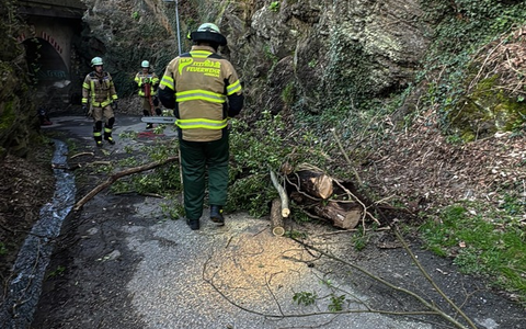 FW-EN: Zweimal am gleichen Einsatzort: Müllcontainerbrand und Brandmeldealarm - Foto: presseportal.de FW-EN: Zweimal am gleichen Einsatzort: Müllcontainerbrand und Brandmeldealarm - Foto: presseportal.de