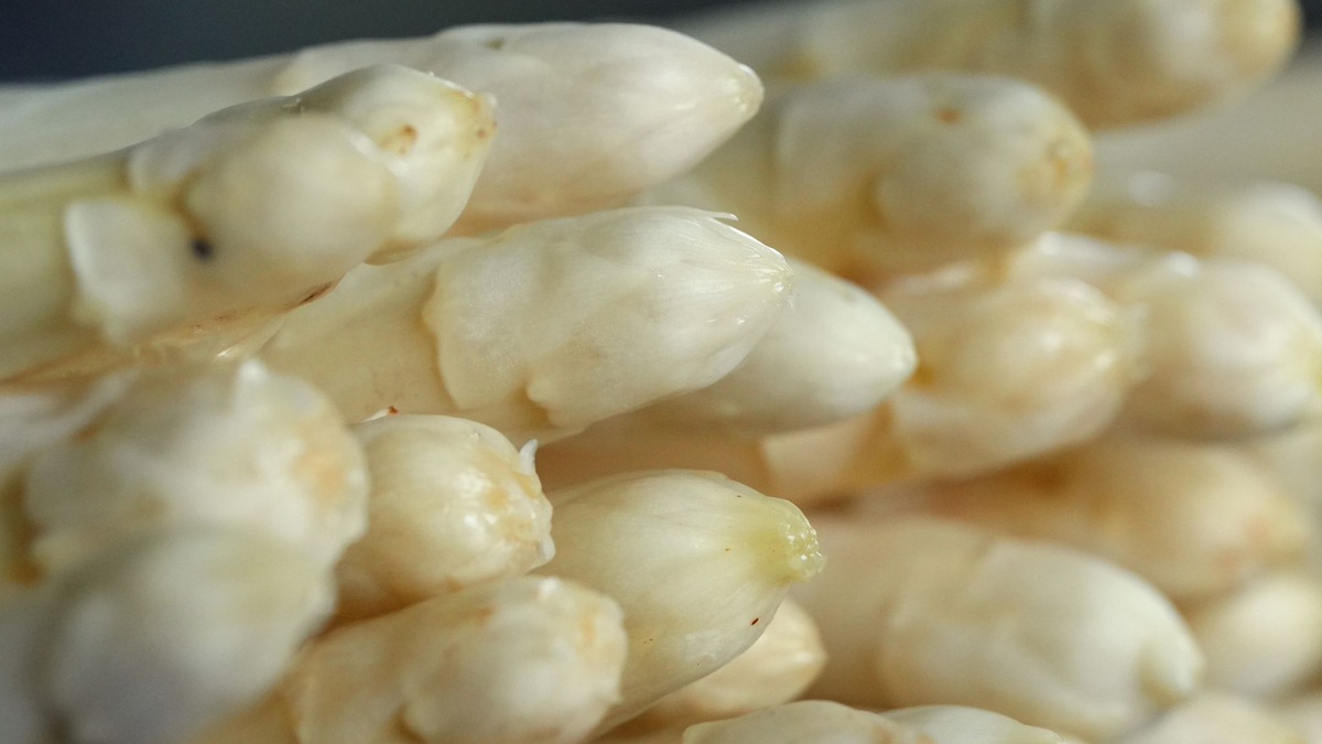 Auch für die Spargelernte kommen viele Saisonarbeiter aus Osteuropa nach Deutschland. - Foto: Soeren Stache/dpa