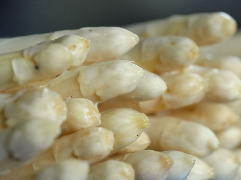 Auch für die Spargelernte kommen viele Saisonarbeiter aus Osteuropa nach Deutschland. - Foto: Soeren Stache/dpa