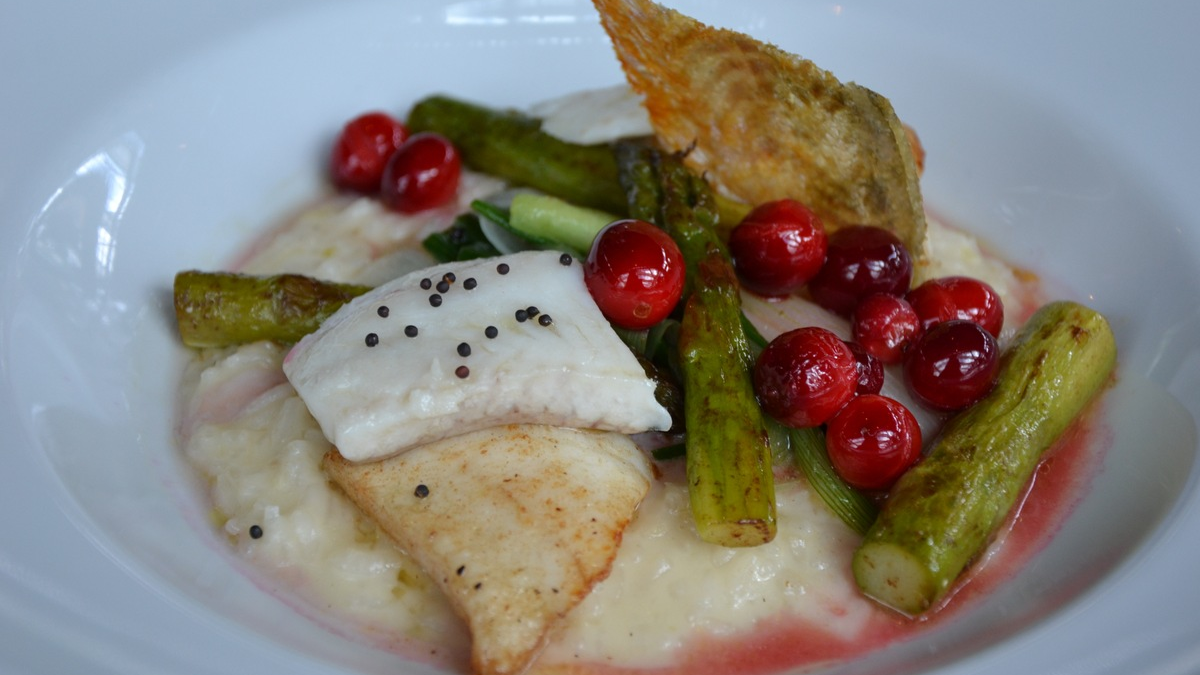 FYSHR AG: Die CO2-Äquivalenz des Zanders im Kontext der Nachhaltigkeit - Foto: presseportal.de