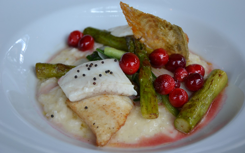 FYSHR AG: Die CO2-Äquivalenz des Zanders im Kontext der Nachhaltigkeit - Foto: presseportal.de