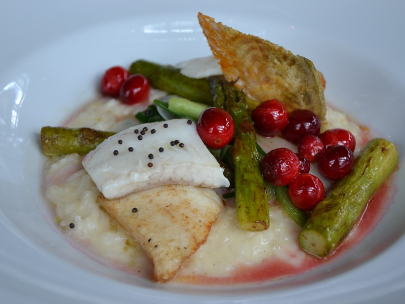 FYSHR AG: Die CO2-Äquivalenz des Zanders im Kontext der Nachhaltigkeit - Foto: presseportal.de