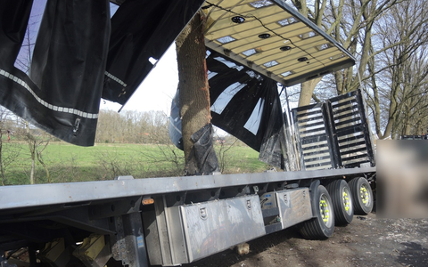 POL-ROW: ++ Nachtrag zum verunfallten Tiertransporter ++ Fotos in der digitalen Pressemappe ++ - Foto: presseportal.de