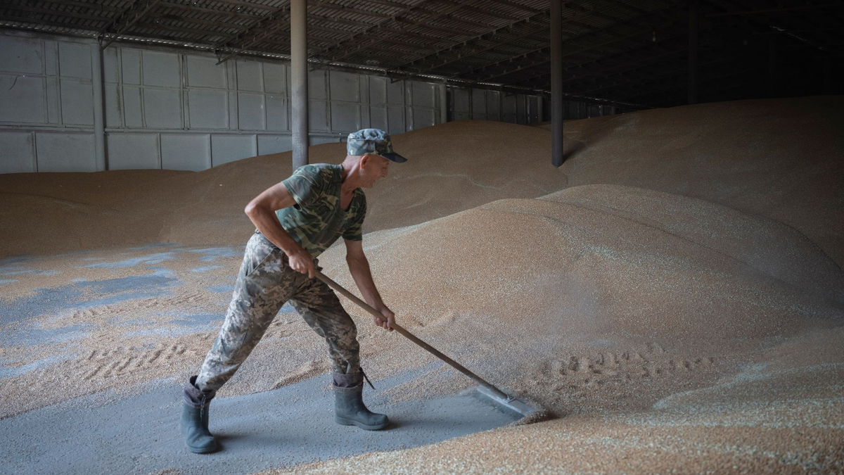 Die Einfuhr von Weizen aus der Ukraine bleibt zunächst zollfrei. - Foto: Efrem Lukatsky/AP