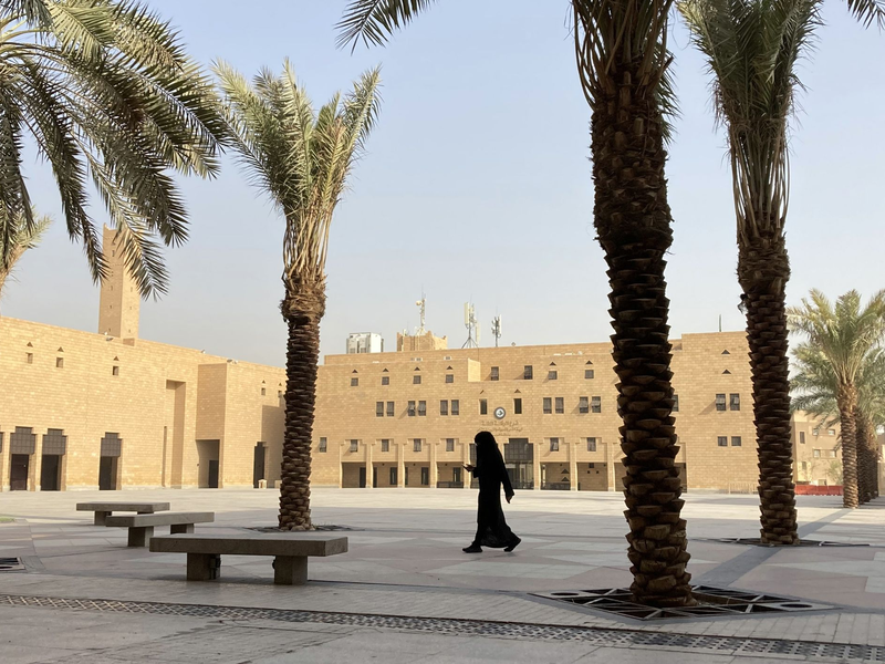 Eine verschleierte Frau in der saudischen Hauptstadt Riad. Saudi-Arabien - im WEF-Bericht über die Gleichstellung der Geschlechter auf einem der unteren Plätze - übernimmt den Vorsitz in der UN-Kommission zur Frauenförderung. - Foto: Johannes Sadek/dpa