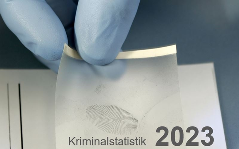 Tierquälerei auch für Tierwohl-Fleisch die Regel / ARIWA deckt 21 Schweineställe auf und stellt Strafanzeigen - Foto: presseportal.de