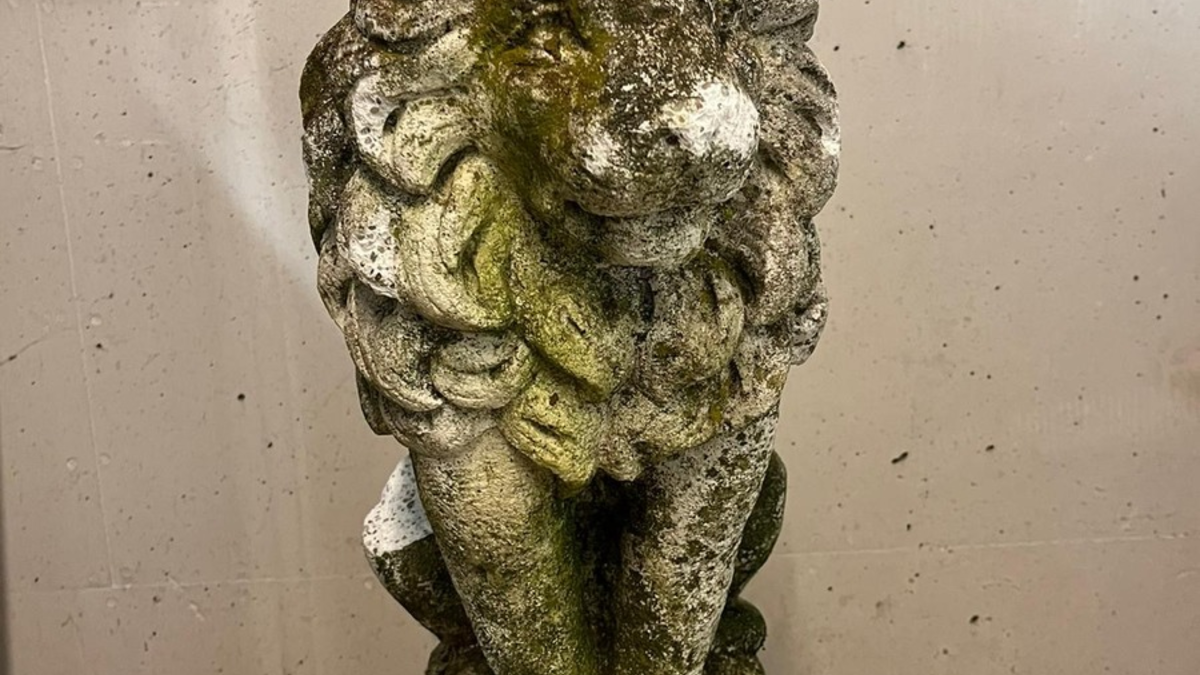 POL-MA: Heidelberg: Einsamer Steinlöwe - Zeuge bzw. Besitzer gesucht! - Foto: presseportal.de