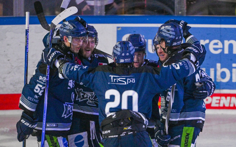Die Straubing Tigers komplettieren das DEL-Halbfinale. - Foto: Armin Weigel/dpa