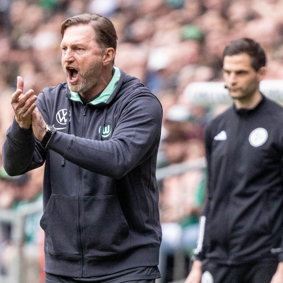 Ralph Hasenhüttl feierte bei seinem Debüt als Wolfsburg-Coach einen Sieg. - Foto: Axel Heimken/dpa
