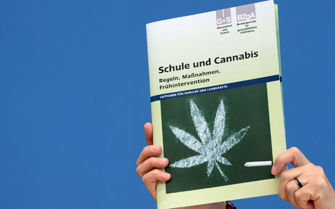 «Die Teillegalisierung vermittelt ein falsches Signal der Harmlosigkeit des Cannabis-Konsums», sagt Stefan Düll. - Foto: Ralf Hirschberger/dpa