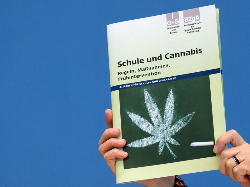 «Die Teillegalisierung vermittelt ein falsches Signal der Harmlosigkeit des Cannabis-Konsums», sagt Stefan Düll. - Foto: Ralf Hirschberger/dpa