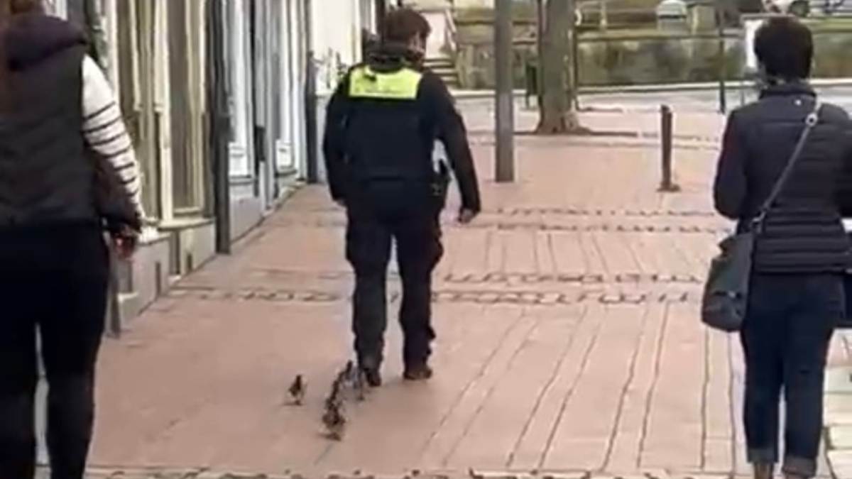 POL-GS: Pressemitteilung der PI Goslar Samstag 30.03.24 - 12:00 Uhr - Sonntag 31.03.24 - 12:00 Uhr - Foto: presseportal.de