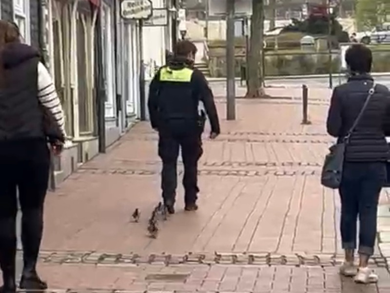 POL-GS: Pressemitteilung der PI Goslar Samstag 30.03.24 - 12:00 Uhr - Sonntag 31.03.24 - 12:00 Uhr - Foto: presseportal.de