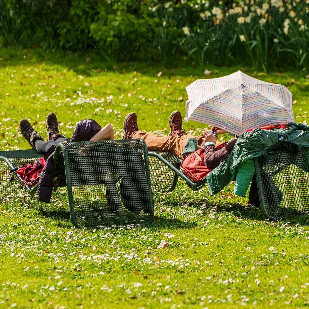 Besucher des Palmengartens in Frankfurt am Main genießen das milde Wetter. - Foto: Andreas Arnold/dpa