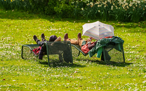 Besucher des Palmengartens in Frankfurt am Main genießen das milde Wetter. - Foto: Andreas Arnold/dpa