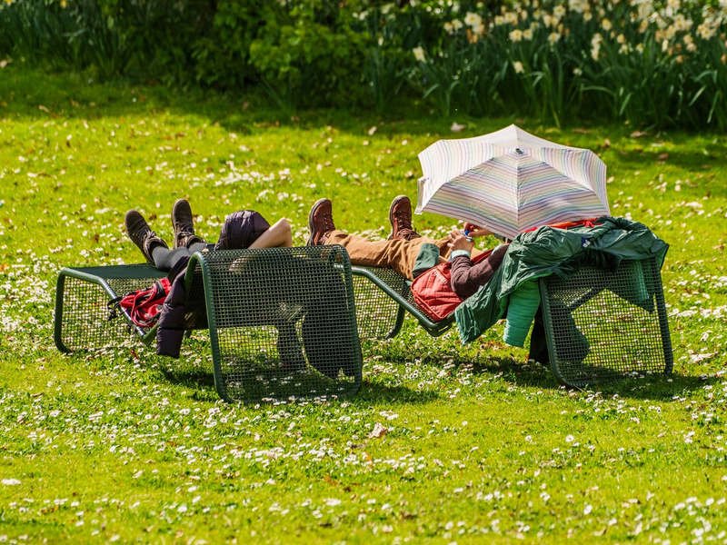 Besucher des Palmengartens in Frankfurt am Main genießen das milde Wetter. - Foto: Andreas Arnold/dpa