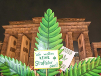 Smoke-in vor dem Brandenburger Tor (Archiv) - Foto: über dts Nachrichtenagentur