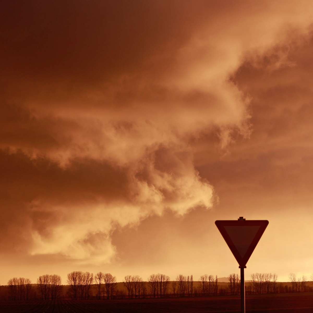Eine Schlechtwetterfront zieht bei tief stehender Sonne über den Harz hinweg. - Foto: Matthias Bein/dpa